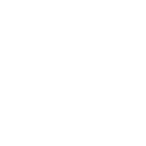 Logo of Diversity VS Standard