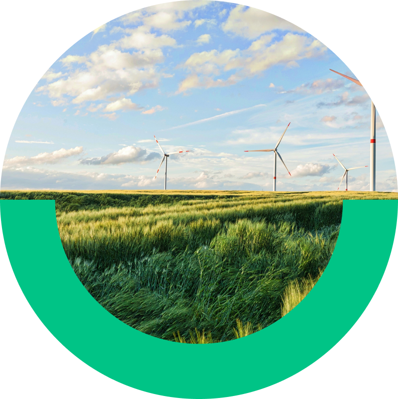 Windmolens in weiland